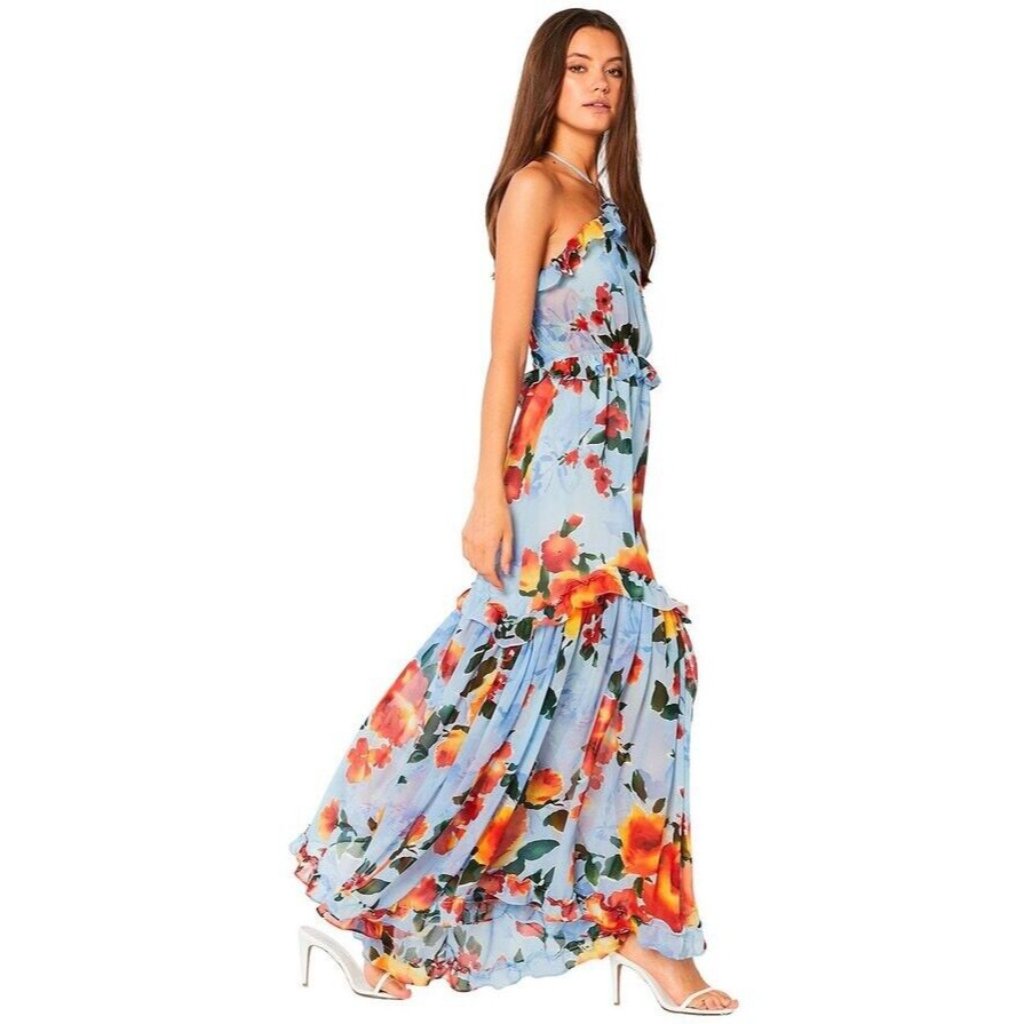 Misa Los Angeles Dallin Dress Blue Multi Floral Maxi